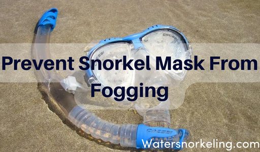 prevent snorkel mask fogging