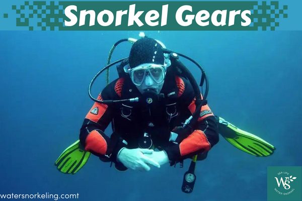 snorkel gear for beginners