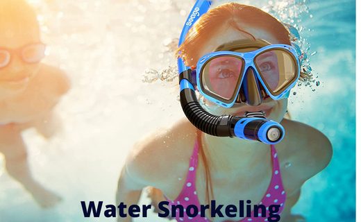 snorkel mask covers nose
