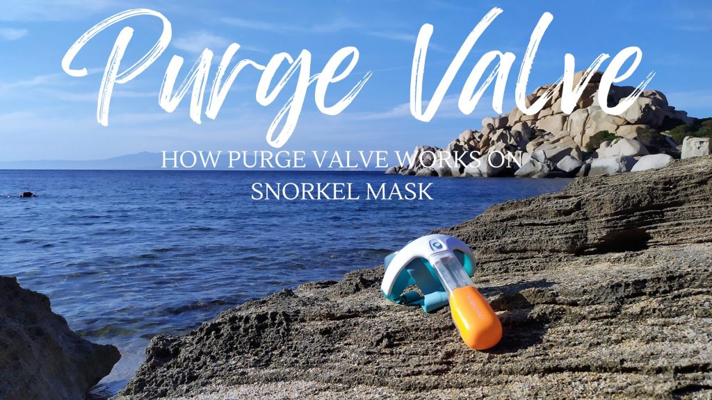 what is a purge valve on snorkel mask
