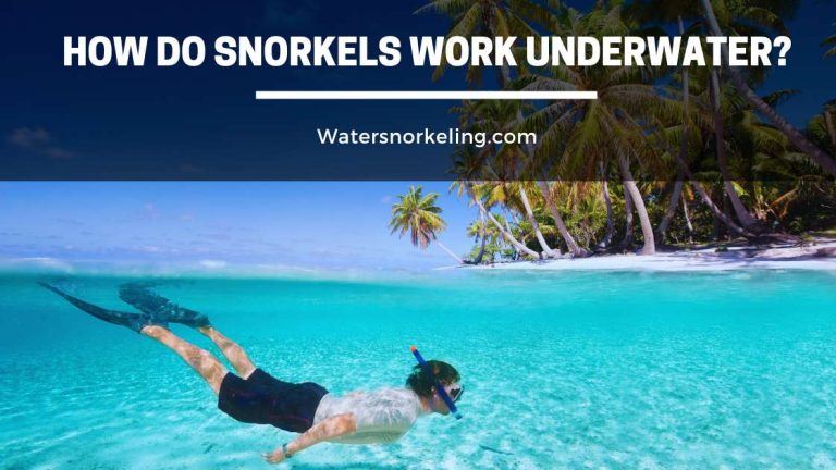How Do Snorkels Work Underwater?