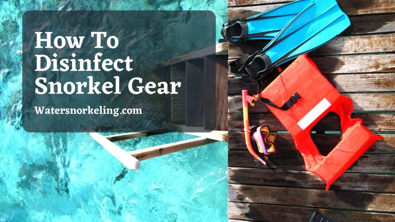 How To Disinfect Snorkel Gear?