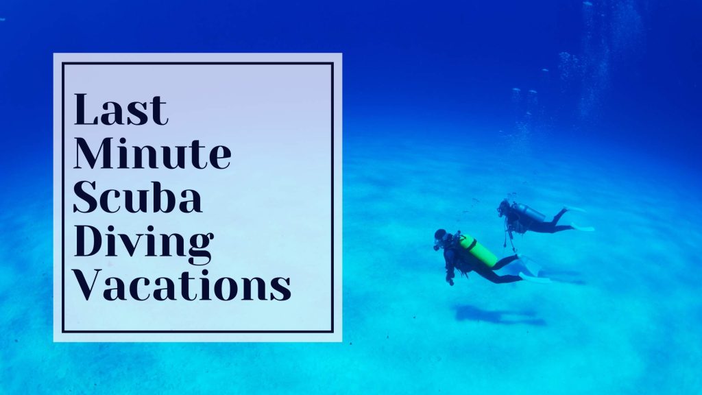 Last Minute Scuba Diving Vacations