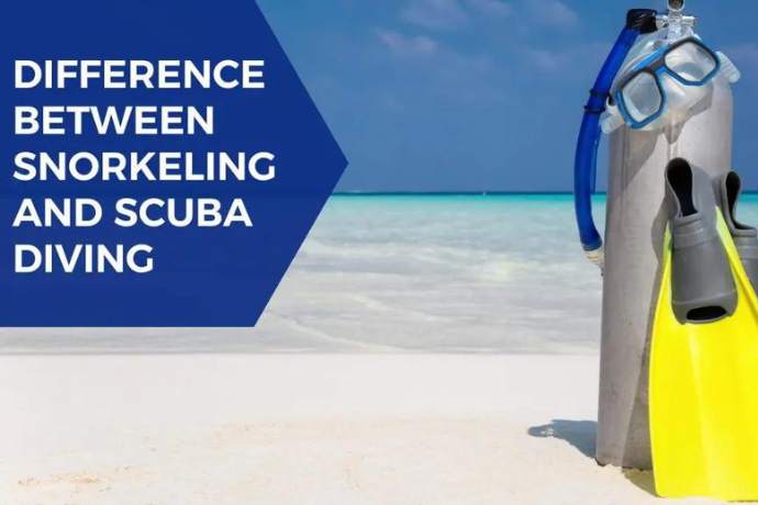 Difference Between Snorkeling And Scuba Diving – A Detailed Guide