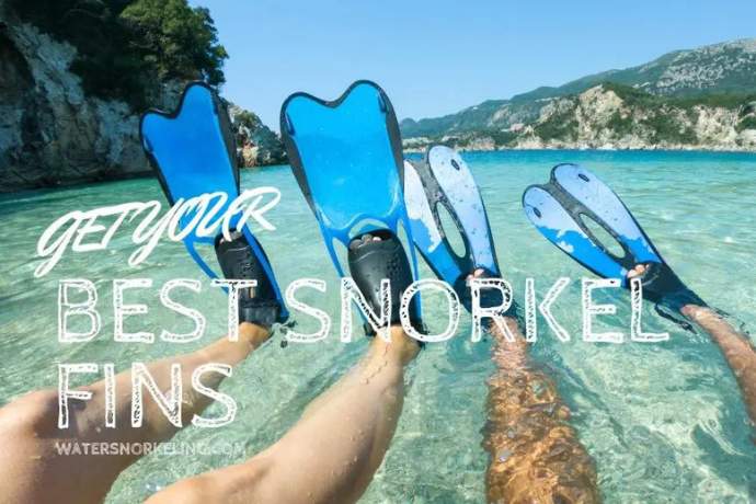 Best Snorkeling Fins in 2023