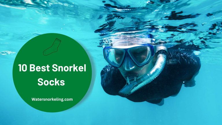 Best Snorkel Socks | Top Rated Reviews & Buying Guide