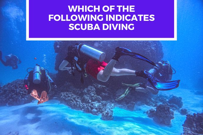 Which of the Following Indicates Scuba Diving