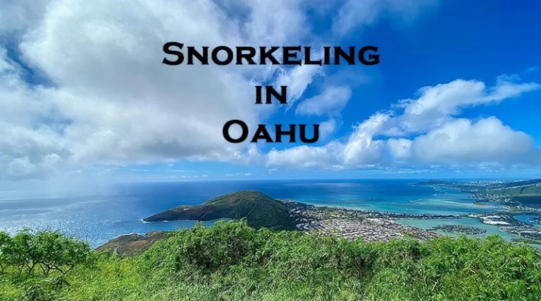 Best Snorkeling in Oahu-Expert Guide in 2023