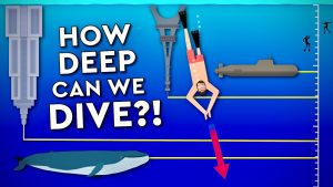 How deep can humans dive before being crushed by pressure: