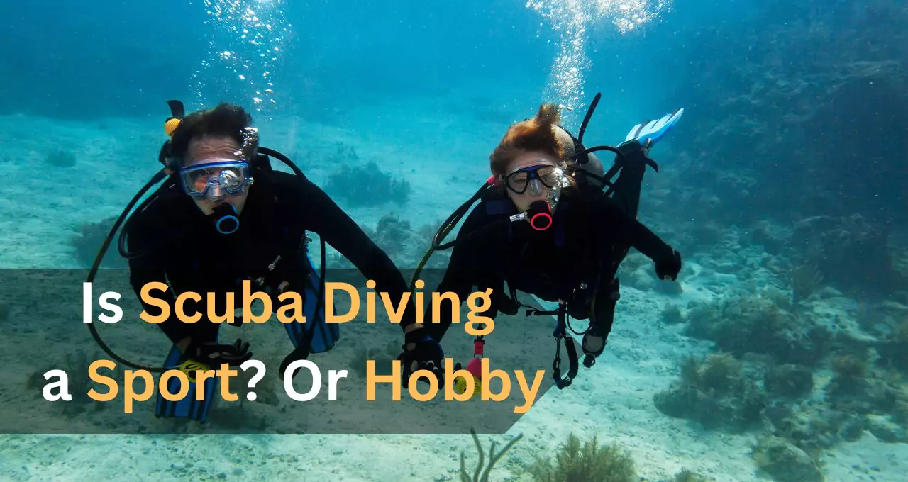 Is Scuba Diving a Sport? Or Hobby
