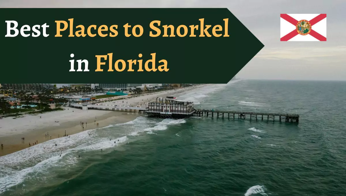 6 Best Places to Snorkel in Florida