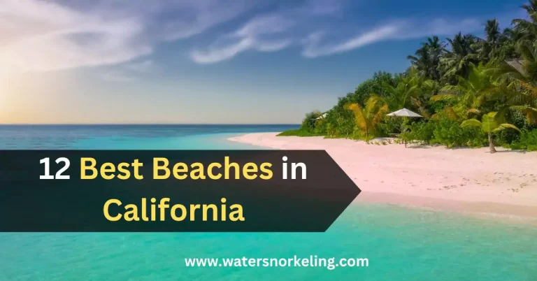 12 Best Beaches in California | Top Spots to Visit in 2024