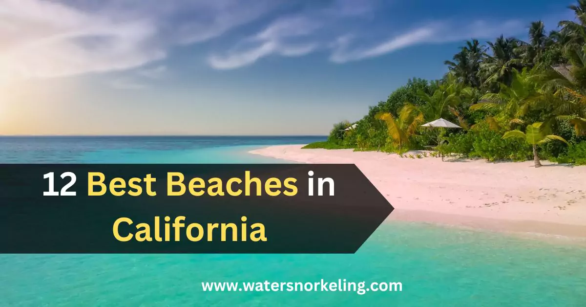 12 Best Beaches In California 64e7cb80e5388.webp