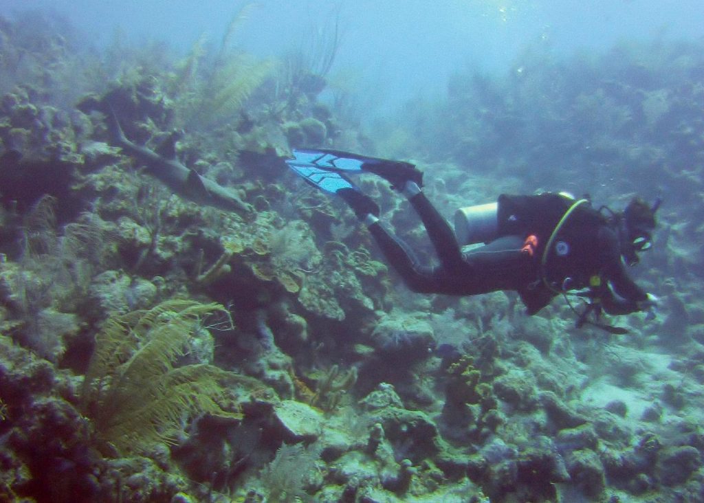 Best Scuba diving North Carolina in Depth Guide-2024